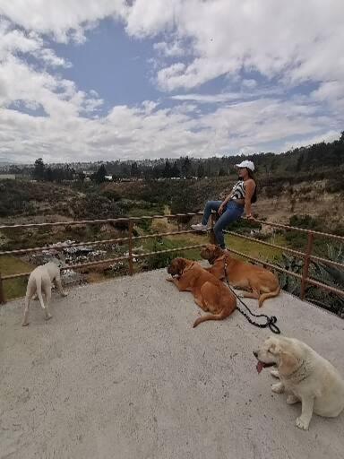 Fakali Homestay Quito Buitenkant foto
