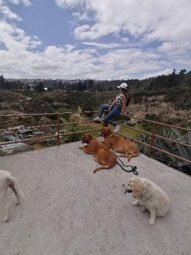 Fakali Homestay Quito Buitenkant foto